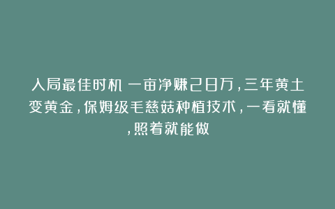 入局最佳时机：一亩净赚28万，三年黄土变黄金，保姆级毛慈菇种植技术，一看就懂，照着就能做！