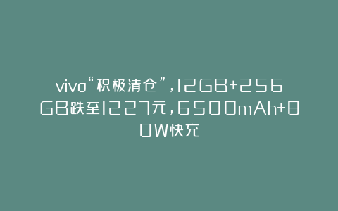vivo“积极清仓”，12GB+256GB跌至1227元，6500mAh+80W快充