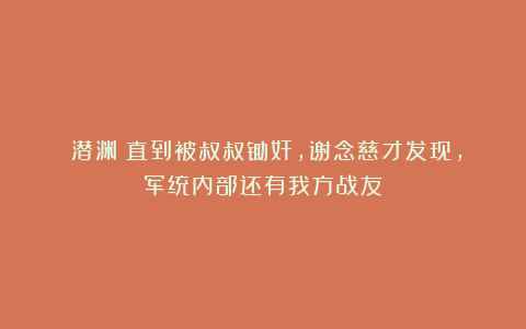 《潜渊》直到被叔叔锄奸,谢念慈才发现,军统内部还有我方战友