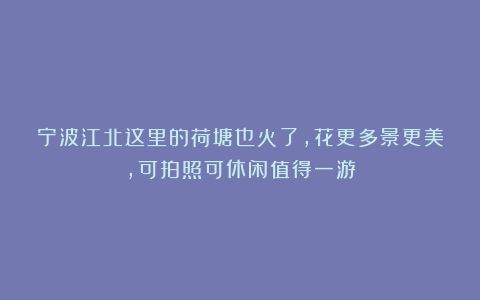 宁波江北这里的荷塘也火了，花更多景更美，可拍照可休闲值得一游