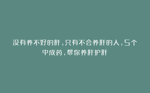 没有养不好的肝，只有不会养肝的人，5个中成药，帮你养肝护肝！