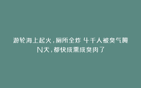 游轮海上起火，厕所全炸！4千人被臭气腌N天，都快成熏成臭肉了