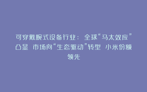 可穿戴腕式设备行业: 全球“马太效应”凸显 市场向“生态驱动”转型 小米份额领先