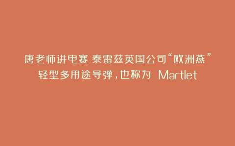 唐老师讲电赛:泰雷兹英国公司“欧洲燕”轻型多用途导弹,也称为 Martlet☆☆☆☆☆★