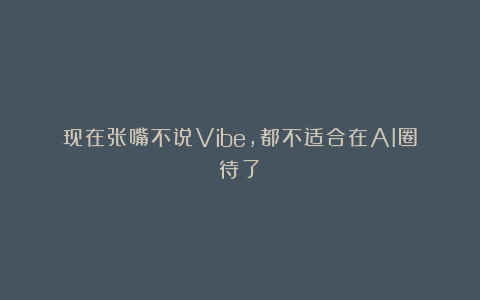 现在张嘴不说Vibe，都不适合在AI圈待了？