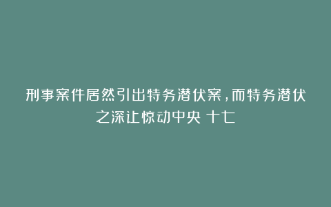 刑事案件居然引出特务潜伏案，而特务潜伏之深让惊动中央（十七）