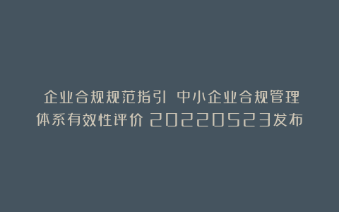 ​企业合规规范指引丨丨中小企业合规管理体系有效性评价（20220523发布）