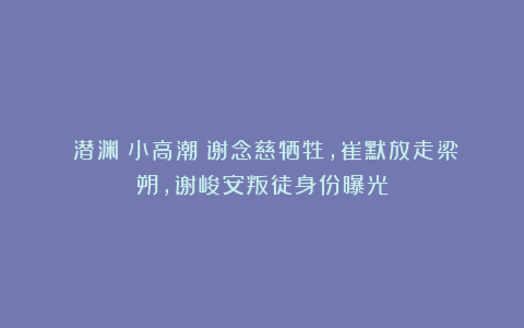 《潜渊》小高潮：谢念慈牺牲，崔默放走梁朔，谢峻安叛徒身份曝光
