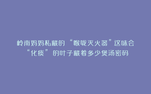 岭南妈妈私藏的 “喉咙灭火器”！这味会 “化痰” 的叶子藏着多少煲汤密码？