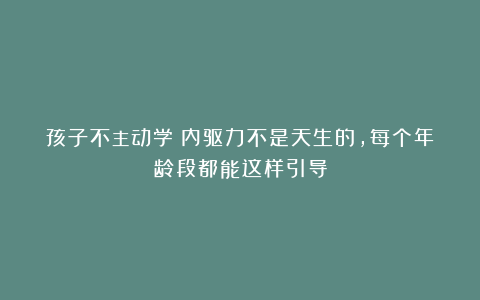 孩子不主动学？内驱力不是天生的，每个年龄段都能这样引导