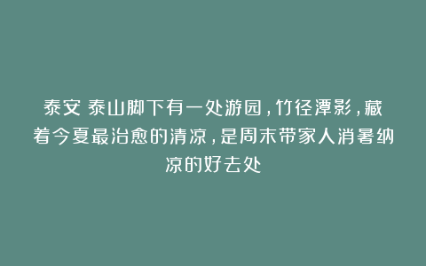 泰安：泰山脚下有一处游园，竹径潭影，藏着今夏最治愈的清凉，是周末带家人消暑纳凉的好去处