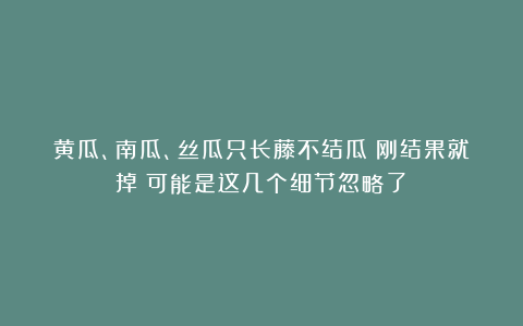 黄瓜、南瓜、丝瓜只长藤不结瓜？刚结果就掉？可能是这几个细节忽略了！