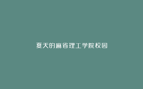 夏天的麻省理工学院校园