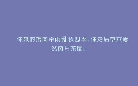 💘你来时携风带雨乱我四季，你走后草木凄然风月荼靡…