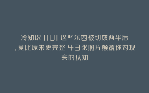 冷知识（1101）这些东西被切成两半后，竟比原来更完整？43张照片颠覆你对现实的认知