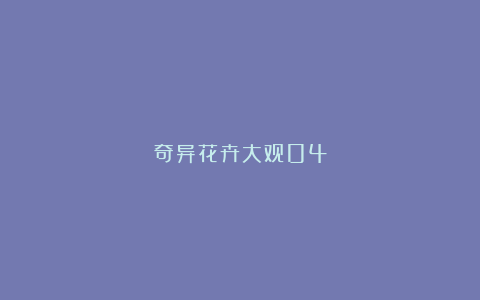 奇异花卉大观04