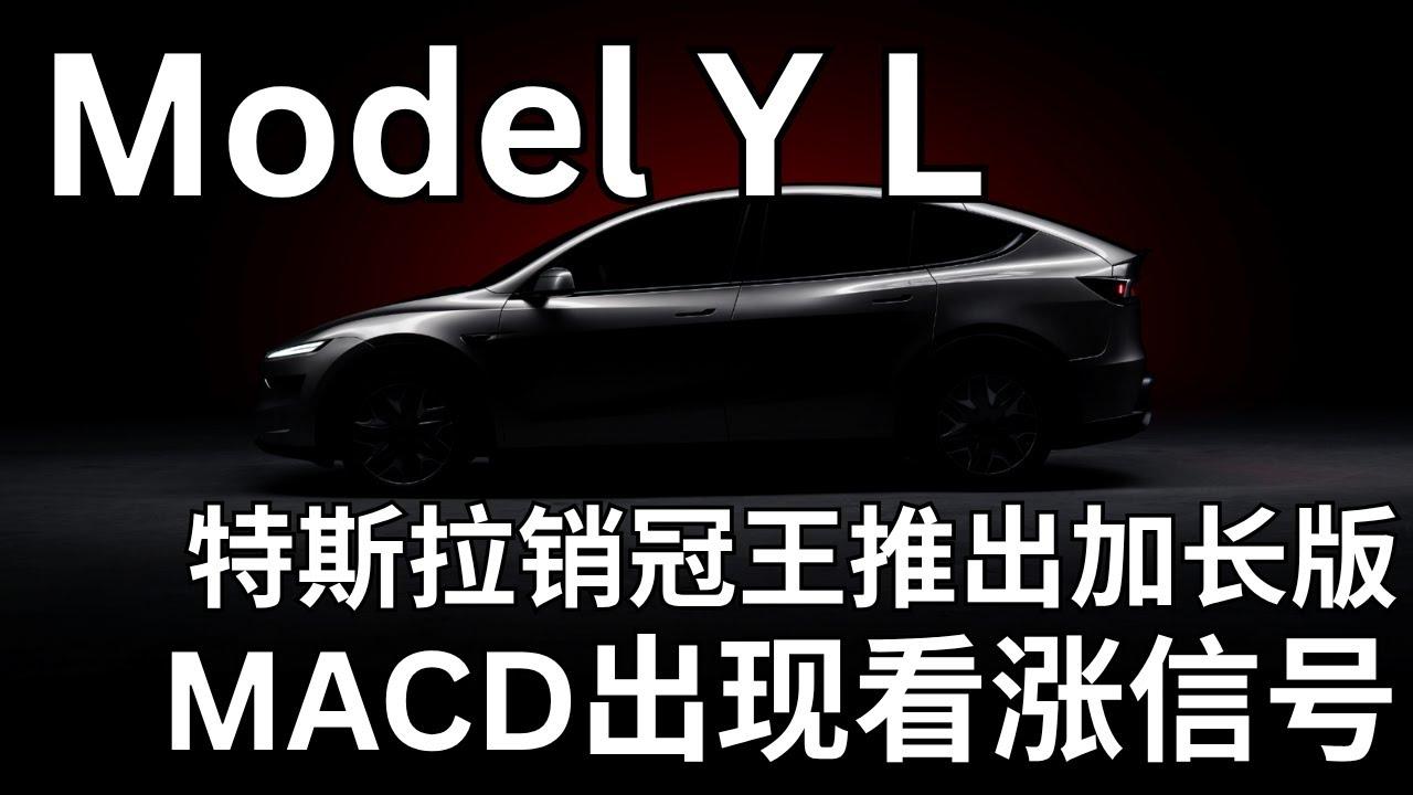 Strategic Recommendations for Tesla to Sustain ‍Growth and Reinforce market Leadership in‍ China