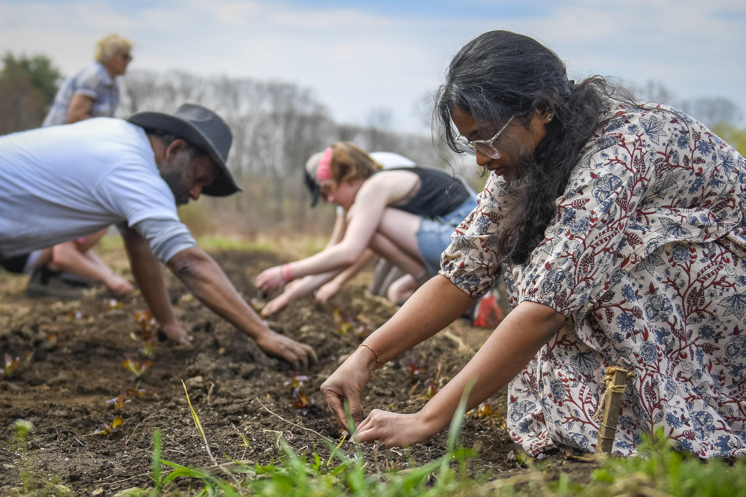 Harvesting Lessons from Past Failures to⁢ Fuel​ Future Capital Investments