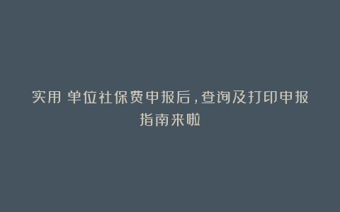 实用!单位社保费申报后,查询及打印申报指南来啦