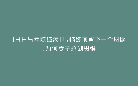 1965年陈诚离世，临终前留下一个夙愿，为何妻子感到畏惧？