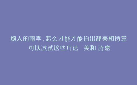 烦人的雨季，怎么才能才能拍出静美和诗意？可以试试这些方法～～|美和|诗意
