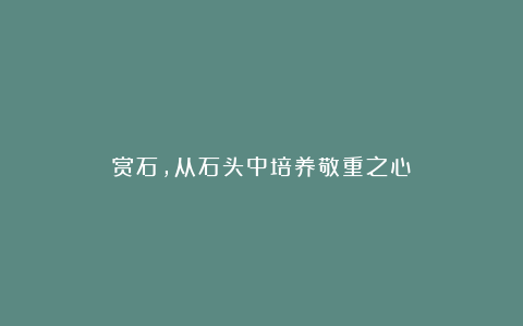 赏石，从石头中培养敬重之心
