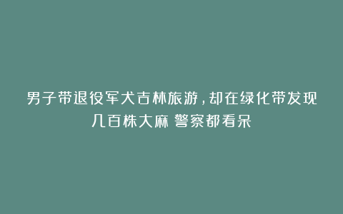 男子带退役军犬吉林旅游，却在绿化带发现几百株大麻！警察都看呆