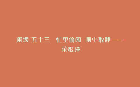 闲读（五十三） 忙里偷闲 闹中取静——《菜根谭》