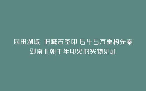 园田湖城 旧藏古玺印：645方重构先秦到南北朝千年印史的实物见证