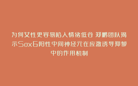 为何女性更容易陷入情绪低谷？郑鹏团队揭示Sox6阳性中间神经元在应激诱导抑郁中的作用机制
