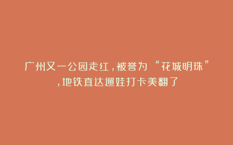 广州又一公园走红，被誉为 “花城明珠”，地铁直达遛娃打卡美翻了