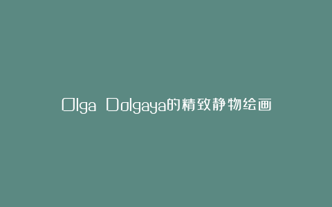 Olga Dolgaya的精致静物绘画