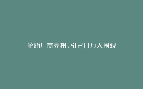 轮胎厂商亮相，引20万人围观