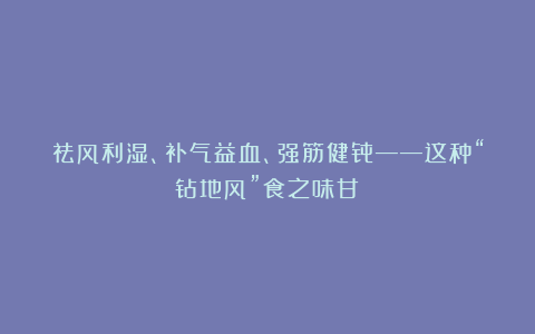 祛风利湿、补气益血、强筋健骨——这种“钻地风”食之味甘!