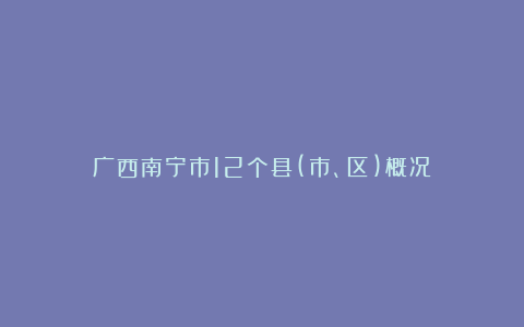 广西南宁市12个县(市、区)概况