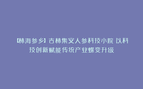 【林海参乡】吉林集安人参科技小院:以科技创新赋能传统产业蝶变升级