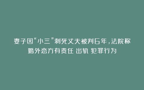 妻子因“小三”刺死丈夫被判6年,法院称婚外恋方有责任|出轨|犯罪行为