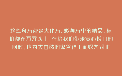 这些奇石都是大化石、彩陶石中的精品，标价都在万元以上，在给我们带来赏心悦目的同时，也为大自然的鬼斧神工而叹为观止