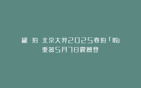 罐 拍賣｜北京大羿2025春拍「無瑕」重器5月7日震撼登場
