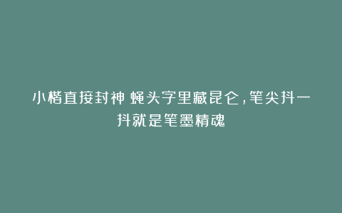 小楷直接封神!蝇头字里藏昆仑,笔尖抖一抖就是笔墨精魂