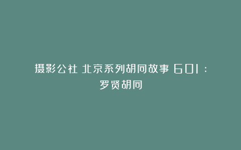摄影公社：北京系列胡同故事（601）:罗贤胡同