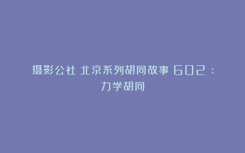 摄影公社：北京系列胡同故事（602）:力学胡同