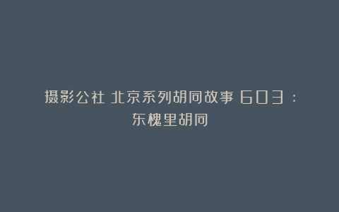 摄影公社：北京系列胡同故事（603）:东槐里胡同