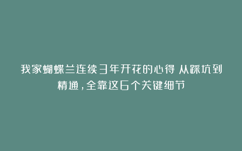 我家蝴蝶兰连续3年开花的心得：从踩坑到精通，全靠这6个关键细节