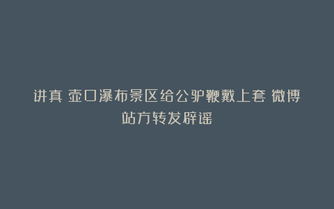 讲真｜壶口瀑布景区给公驴鞭戴上套？微博站方转发辟谣