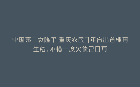 中国第二袁隆平！重庆农民7年育出首棵再生稻，不惜一度欠债20万