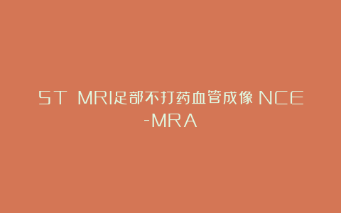 5T MRI足部不打药血管成像（NCE-MRA）