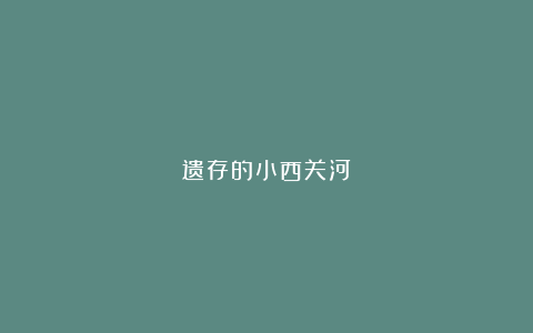 遗存的小西关河