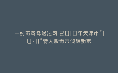 一对毒鸳鸯落法网！2010年天津市“10·11”特大贩毒案侦破始末
