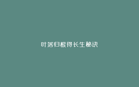 叶落归根得长生秘诀
